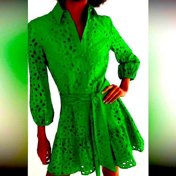 NWT ZARA Sz Small Brilliant Kelly Green Openwork Embroidered Dress DRESS!!👗😍 - Picture 2 of 8